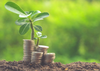 Pożyczki internetowe a większe wydatki