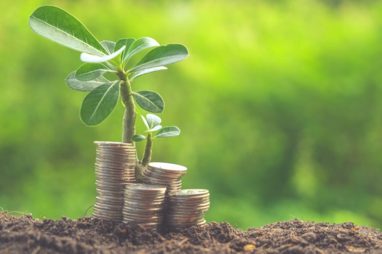 Pożyczki internetowe a większe wydatki