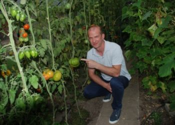 Historia z pomidorem w tle – rozmowa z Tomisławem Cysarczykiem z firmy GDD