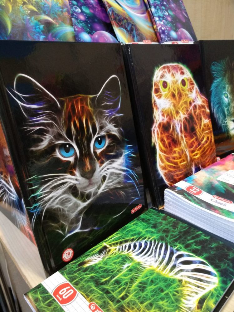 Targi HASTA, 20-21.04, Wrocław